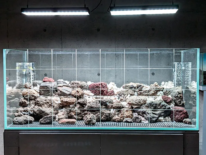 Aquascaping steps - PRIMAL BUST - IAPLC 2025 Silver Prize - Katsuki Tanaka / Japan